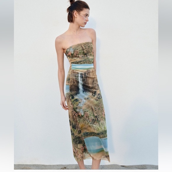 ZARA PRINTED TULLE DRESS - Picture 3 of 9